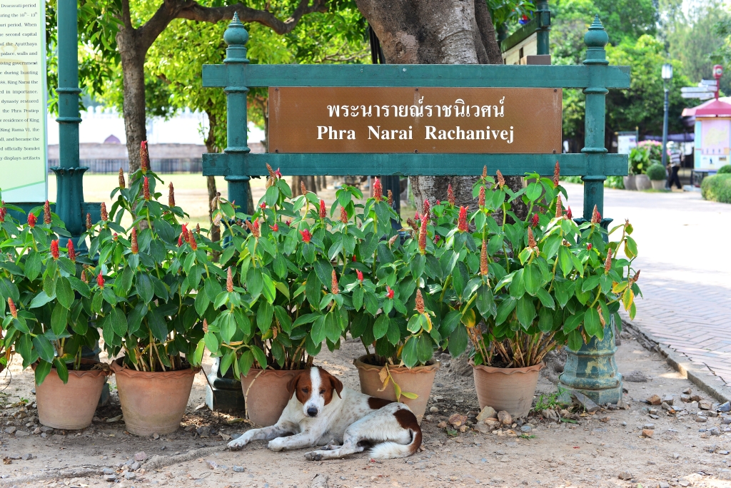 Lopburi Phra Narai Ratchanivet